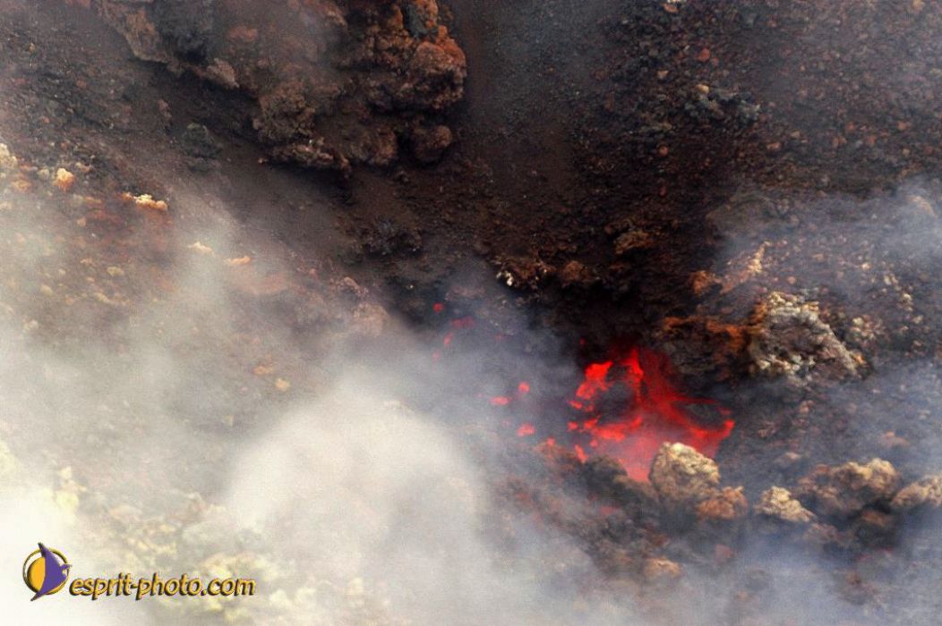 Nom de l'image : EP08-0390_(c)Norbert-JUNG — Description :